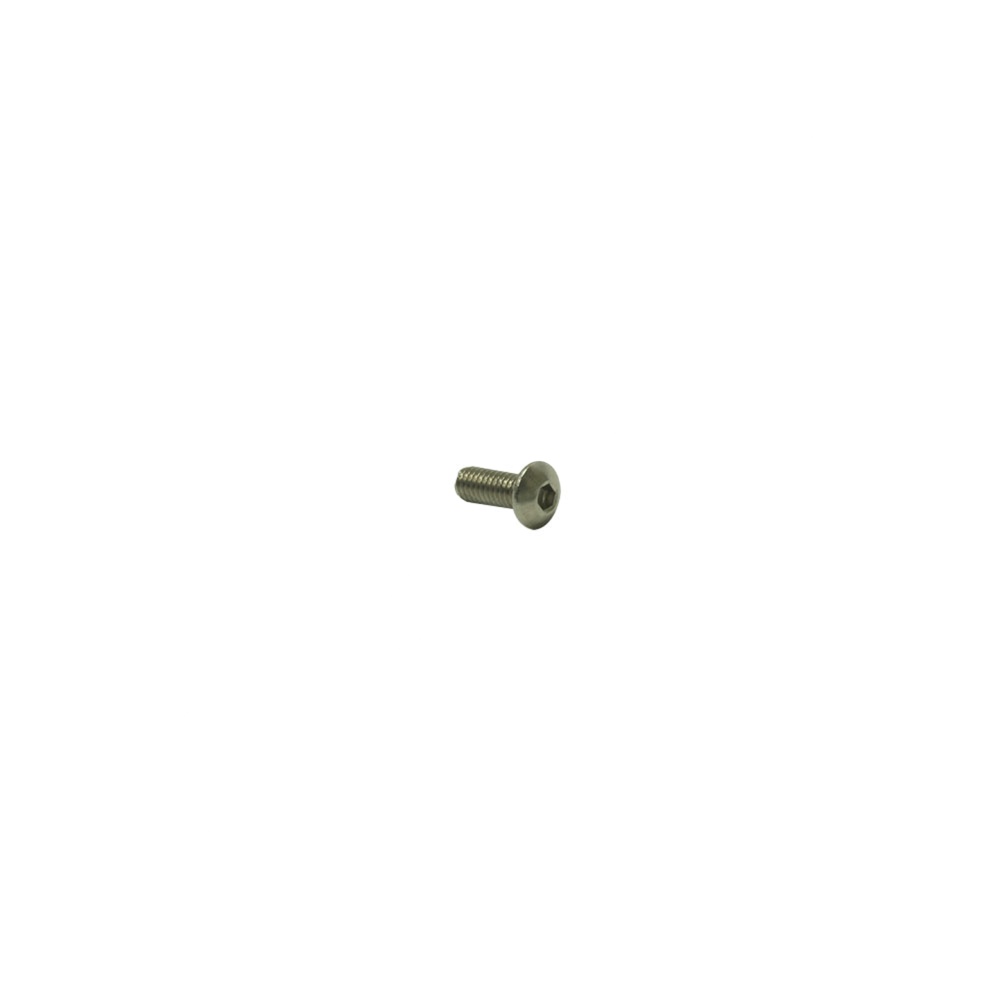 Screw M4 .07 x 10 Button Head Socket Cap Screw SST Screw M4 .07 x 10 Button Head Socket Cap Screw SST