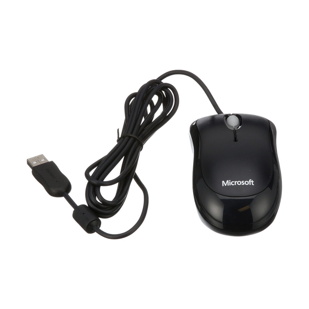 RCIM2 Mouse RCIM2 Mouse