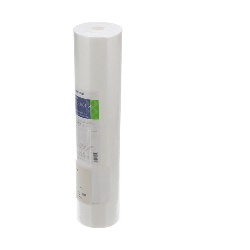 Pentair Water P/N 155360-43 DGD-2501-20 1 Micron Sediment Pentair Water P/N 155360-43 DGD-2501-20 1 Micron Sediment