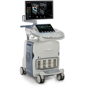 Voluson Upgrade E-series BT20 to BT21 Voluson Upgrade E-series BT20 to BT21