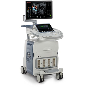 Voluson Upgrade E-series BT18 to BT21 Voluson Upgrade E-series BT18 to BT21